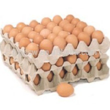 Molho de celulose de bandeja de ovos